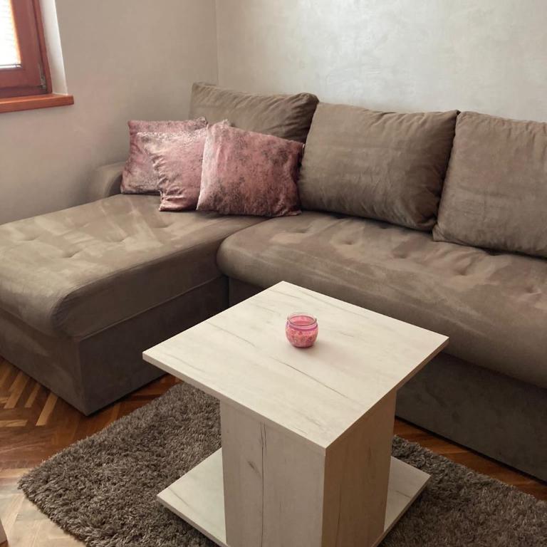 M&L Apartman Vrnjačka banja - Apartman sa 1 Spavaćom Sobom - 4