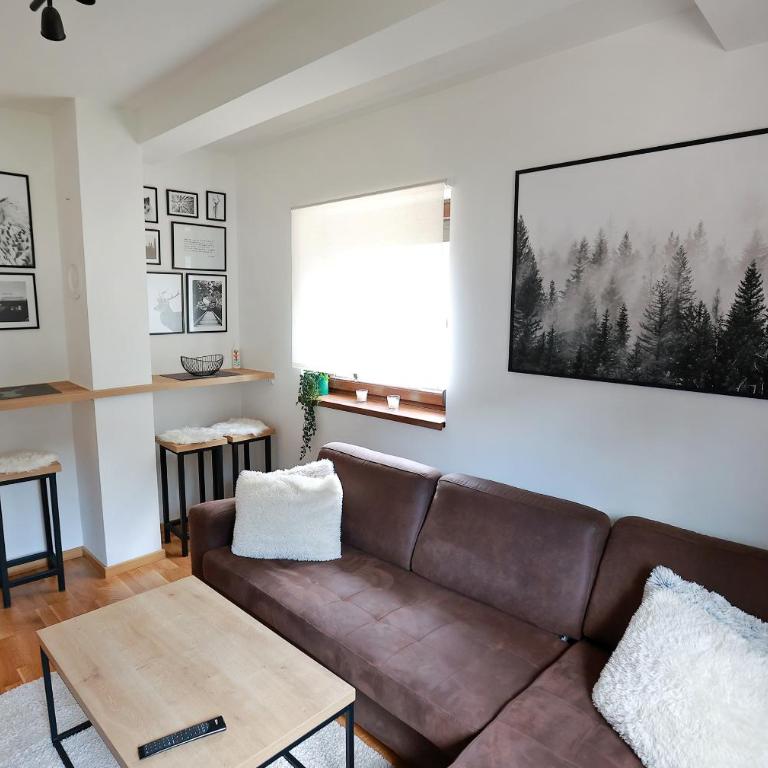 Apartmani MAGLA Jahorina - Apartment with Mountain View - 7