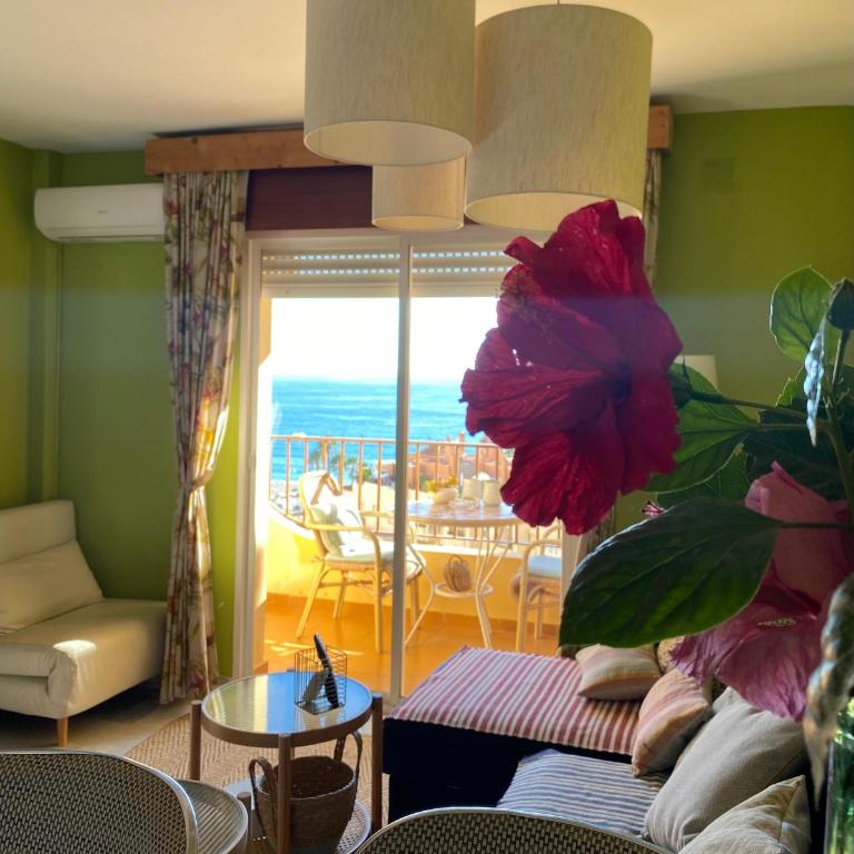 Apartamento con vistas en Mariote - Apartamento - 17