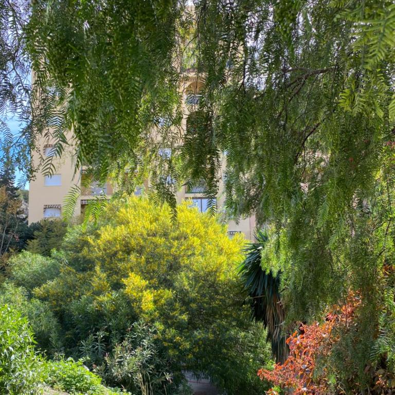 Apartamento con vistas en Mariote - Apartamento - 45