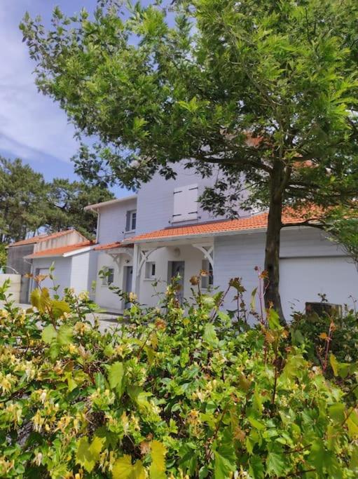 3*** Mimizan 800m plage sud - villa 8/10 pers - Maison de Vacances - 13