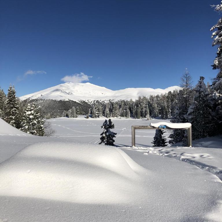 Turrach Chalet Haus Dachs - Chalet mit 3 Schlafzimmern - 12