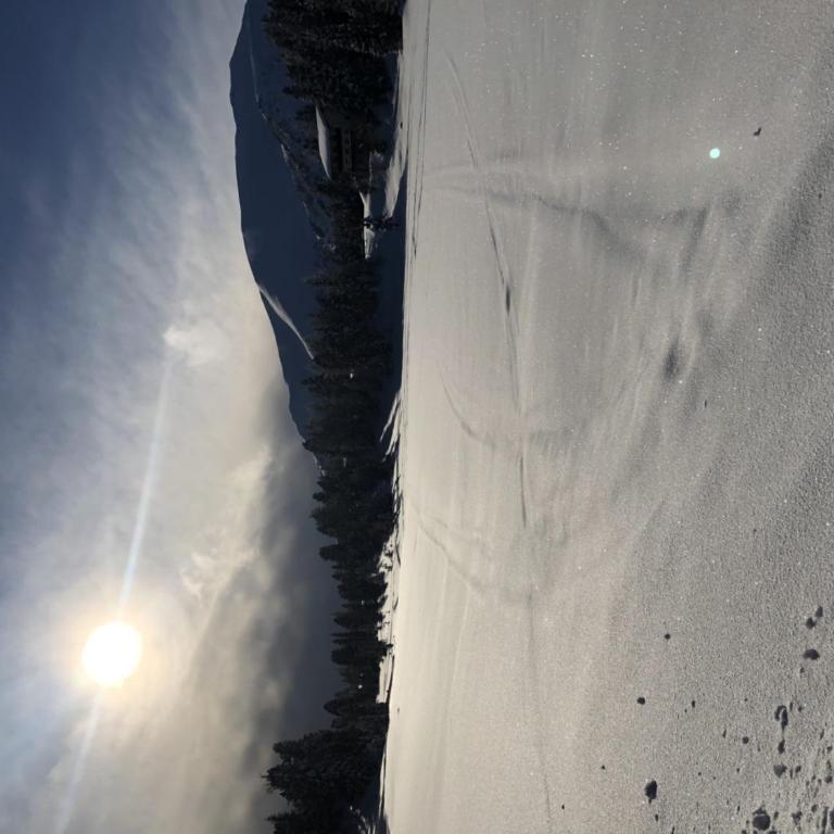 Turrach Chalet Haus Dachs - Chalet mit 3 Schlafzimmern - 14