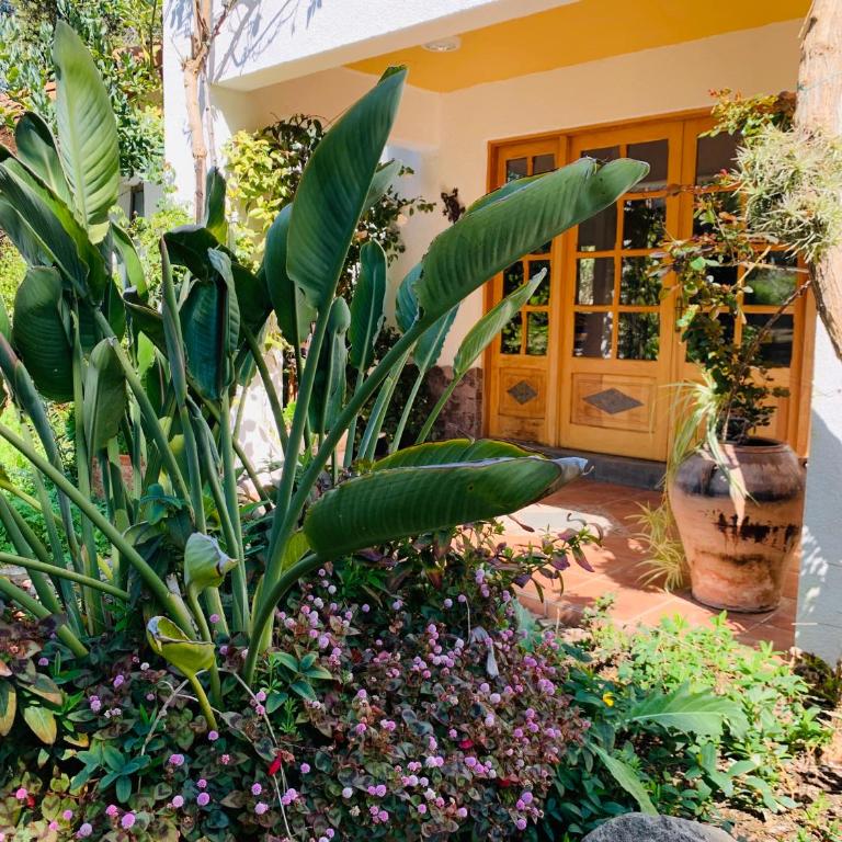 KURALEMU Casa de Campo - Suite Deluxe con bañera de hidromasaje - 15