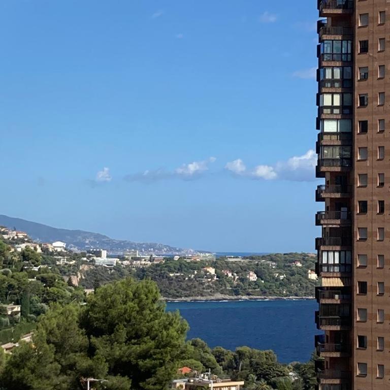 Monaco Stunning Sea Views, Larvotto beach, Terrace, 2 bedrooms, 2 bathrooms, up to 6 person, lift, 1st floor - Appartement 2 Chambres - 17
