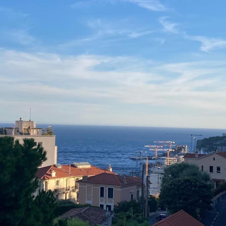 Monaco Stunning Sea Views, Larvotto beach, Terrace, 2 bedrooms, 2 bathrooms, up to 6 person, lift, 1st floor - Appartement 2 Chambres - 25