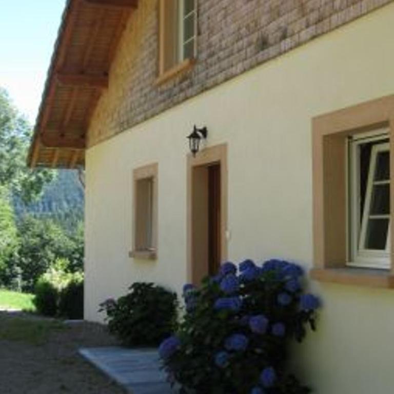 Chalet spacieux avec balcon, WiFi gratuit, proche lac et station de ski - FR-1-589-140 - Maison de Vacances (6 Adultes) - 8