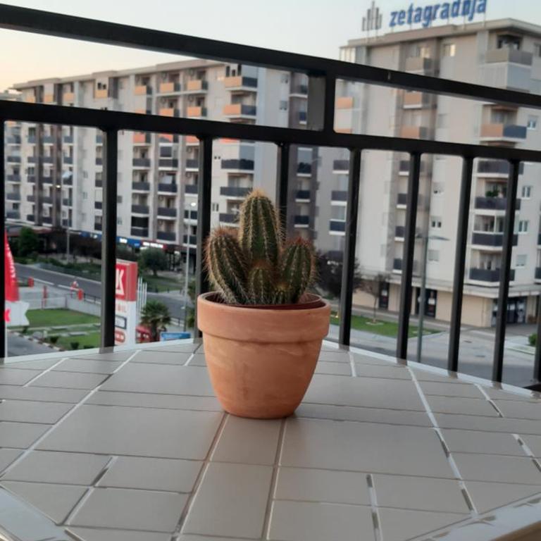Studio Place 8 - One-Bedroom Apartment - 17