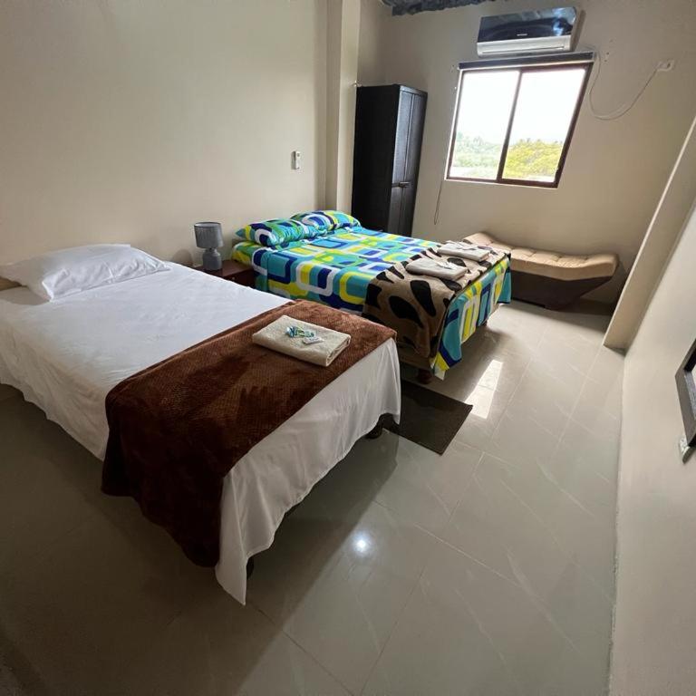 House 1 - One-Bedroom Apartment - 1