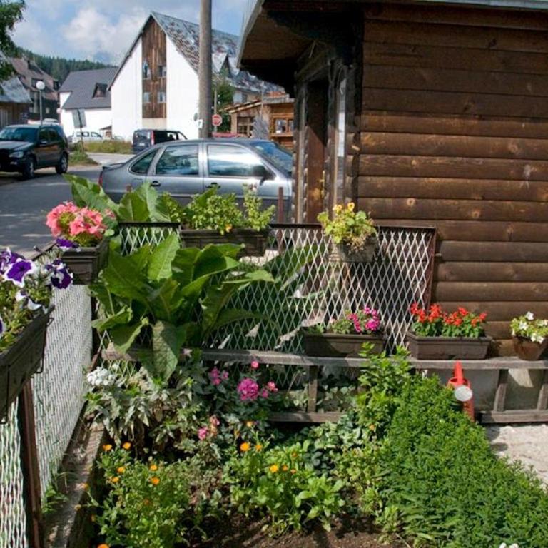 Apartment Aleksić - Apartment - 4