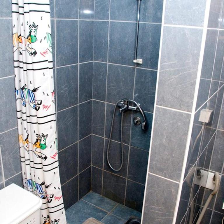 Apartment Aleksić - Apartment - 10