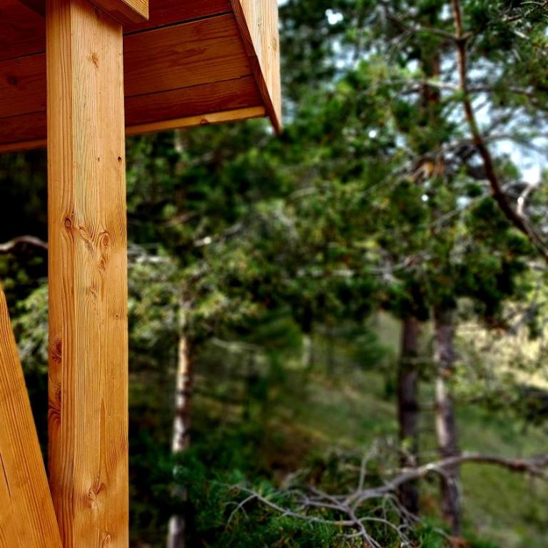 Chalet l'Empreinte - Villa - 1