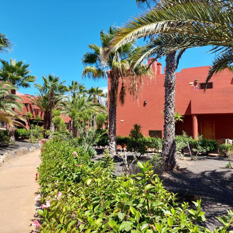 Sweet Home by Sea You There Fuerteventura - Apartamento con vistas al jardín - 28