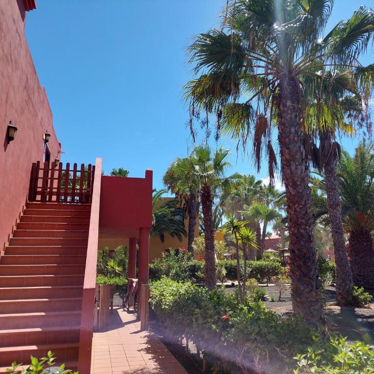 Sweet Home by Sea You There Fuerteventura - Apartamento con vistas al jardín - 38