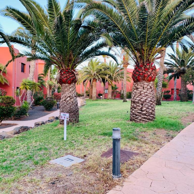 Sweet Home by Sea You There Fuerteventura - Apartamento con vistas al jardín - 39