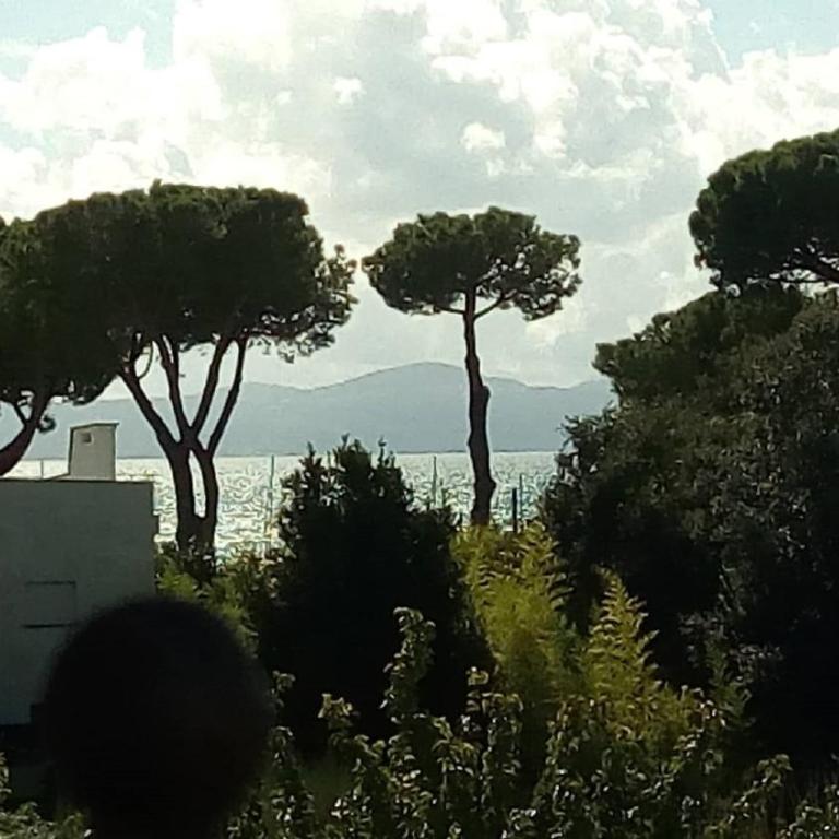 Domus Bolsena - Appartamento con Vista Lago - 55