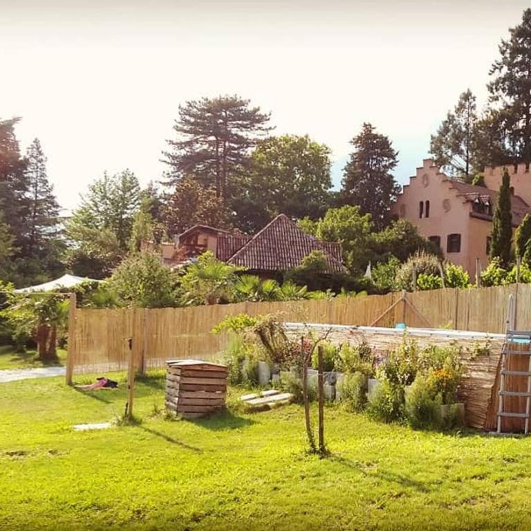 Schloss-Castel Pienzenau - Guestrooms & Apartments - B&B-Hotel & Restaurant - Monolocale con Vista Giardino - 2