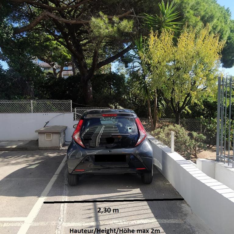 Grand Studio neuf face port et plage, parking privé - Appartement 1 Chambre - 22