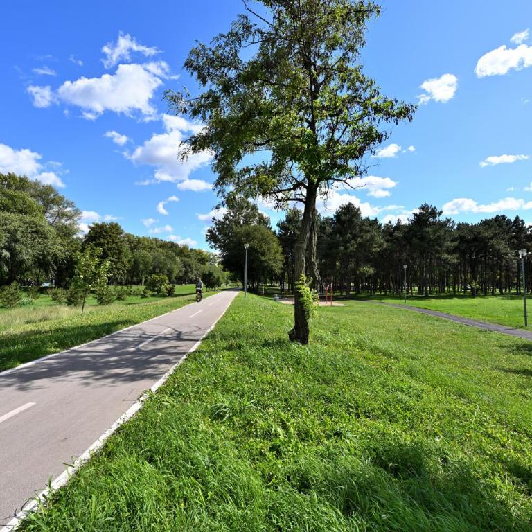 Hidden Gem - Apartman sa 1 Spavaćom Sobom - 41