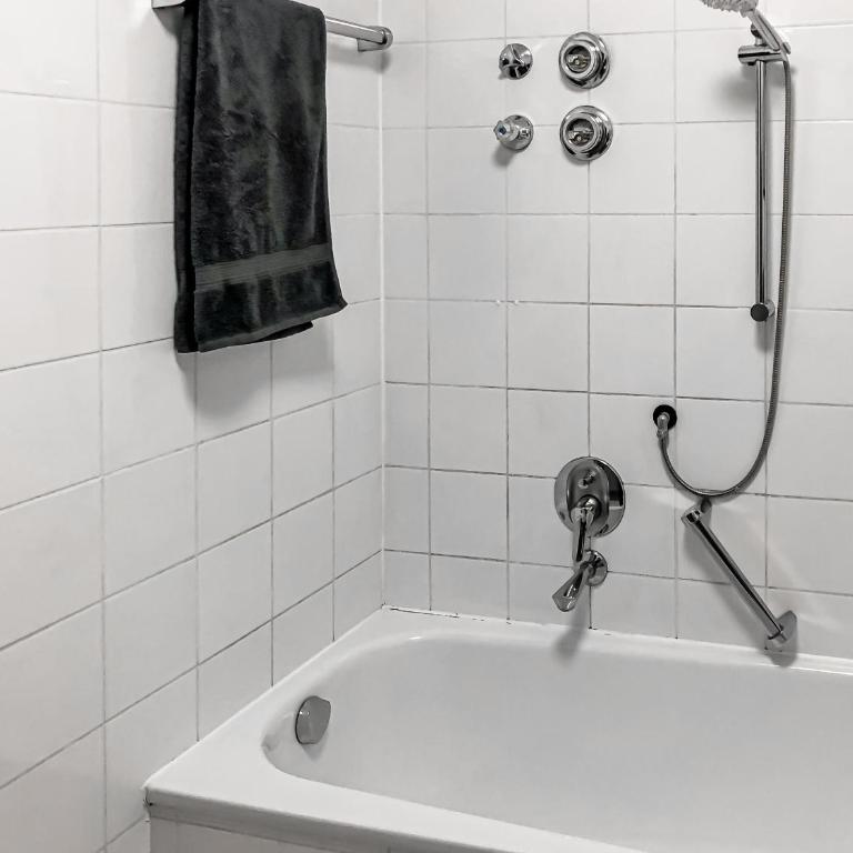 Studio near Altstadt /w Workspace, Feng-Shui & Art - Apartment mit 1 Schlafzimmer - 11