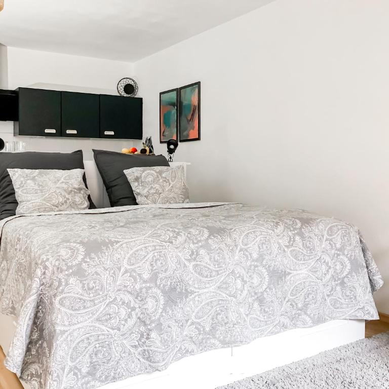 Studio near Altstadt /w Workspace, Feng-Shui & Art - Apartment mit 1 Schlafzimmer - 1