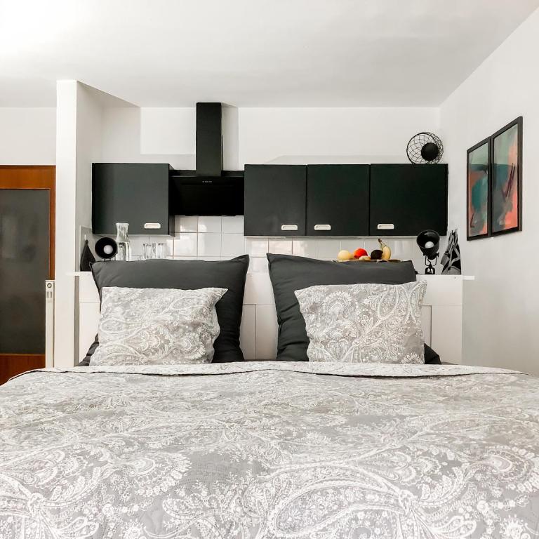 Studio near Altstadt /w Workspace, Feng-Shui & Art - Apartment mit 1 Schlafzimmer - 2