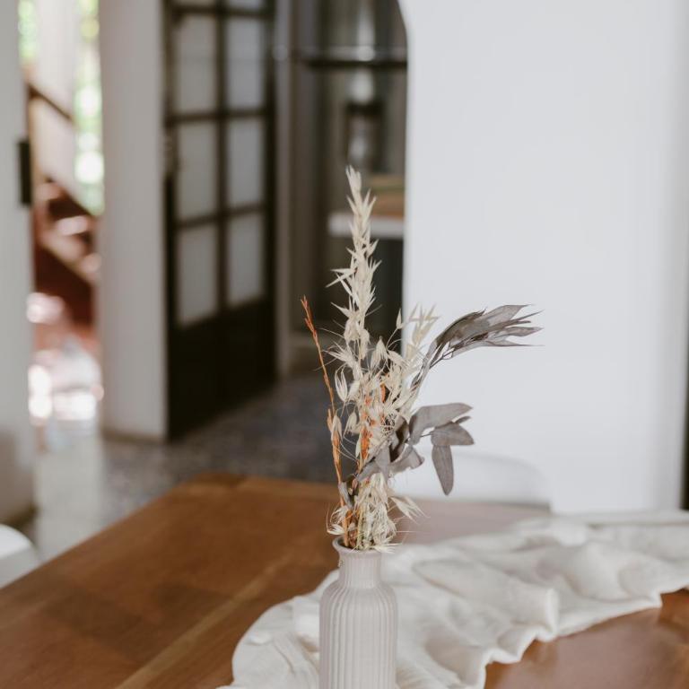 Casona del Rio - Casa - 9