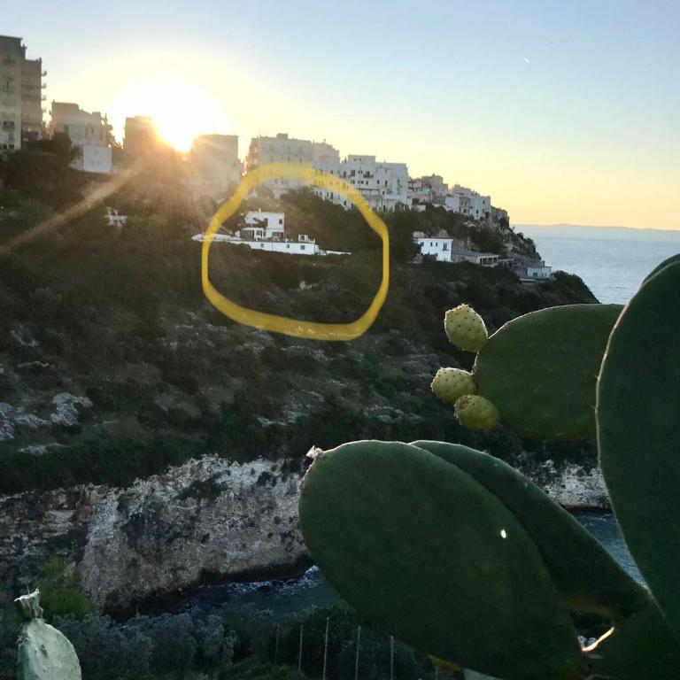 Baia Scirocco Bed and Breakfast - Camera Matrimoniale Standard - 4