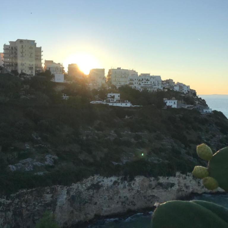 Baia Scirocco Bed and Breakfast - Camera Matrimoniale Standard - 3