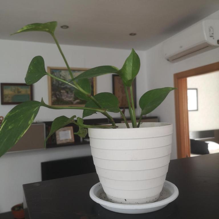 La Casita del Arte - Apartamento de 2 dormitorios - 18
