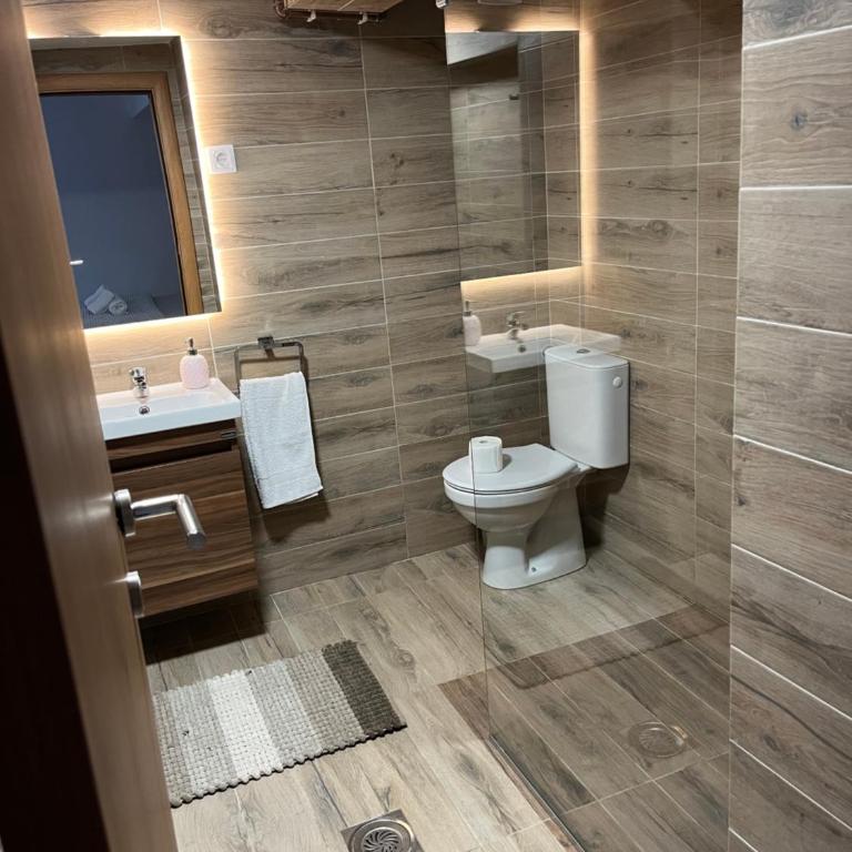 Apartmani Tesla - Apartman - Prizemlje - 16