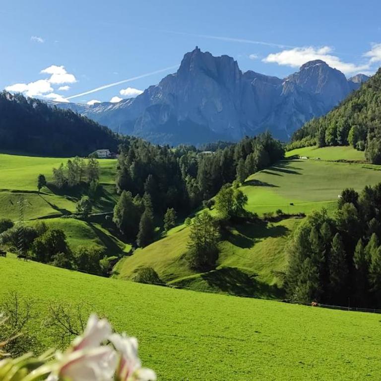 Sonnenresidenz Kastelruth - Studio (2 Adults) - 3