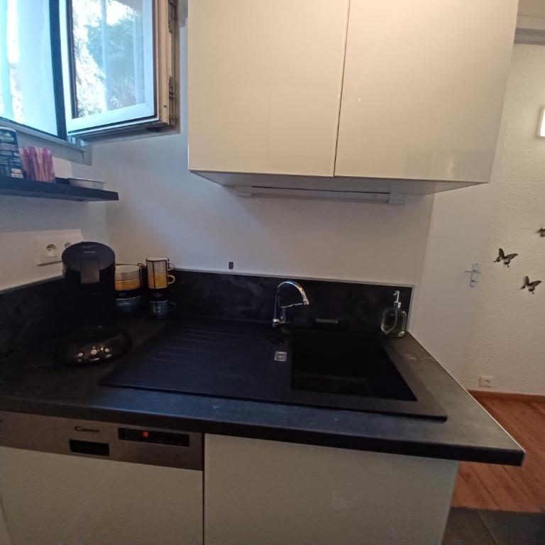 L'Eau-Dyssée, clim, parking privé, jardin - One-Bedroom Apartment - 6