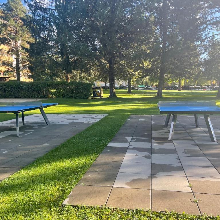 Seeappartement LUNA am Ossiachersee mit privatem Seezugang, Hallenbad, Skiarena Gerlitzen - Apartment mit 2 Schlafzimmern - 29