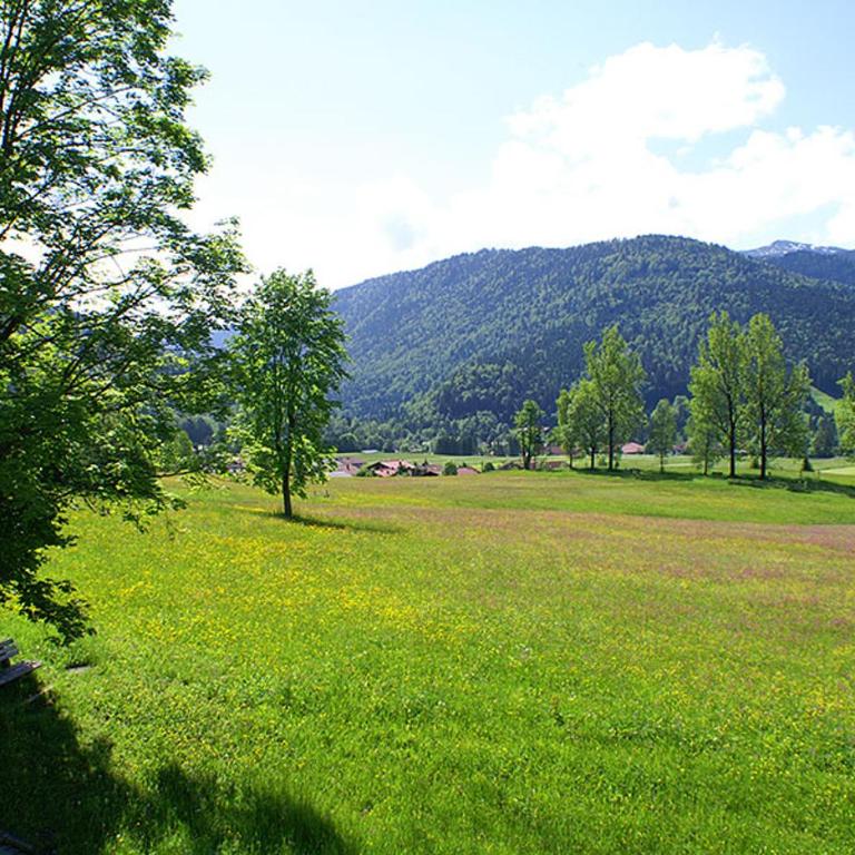 Ferienwohnungen Fam Michael Neumaier - Apartment mit Blick auf die Berge - 9