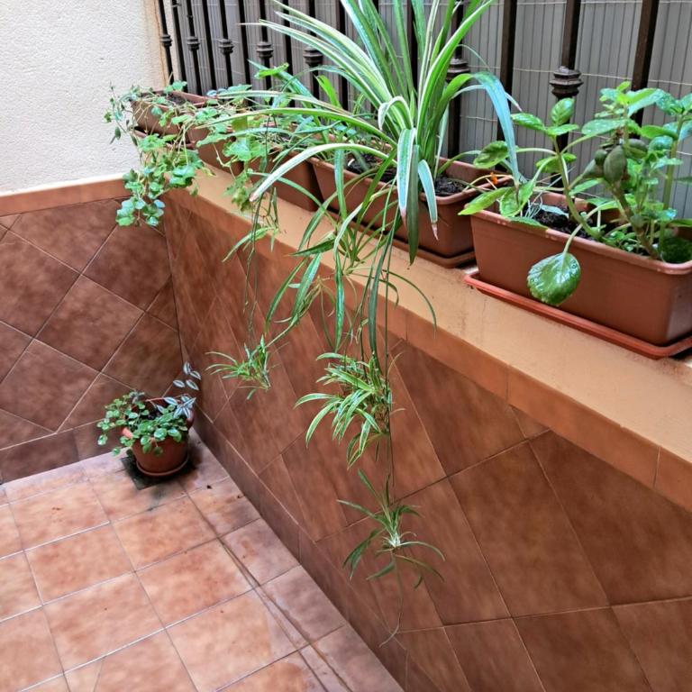 Apartamento La Reina - Apartamento de 1 dormitorio - 28