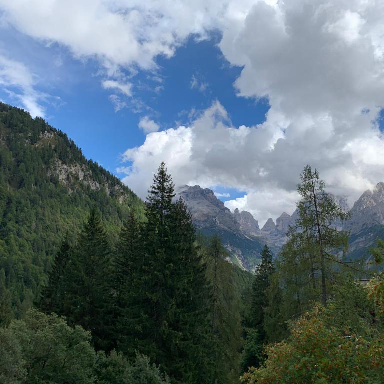 La Capannina - Appartamento con 2 Camere da Letto - 73