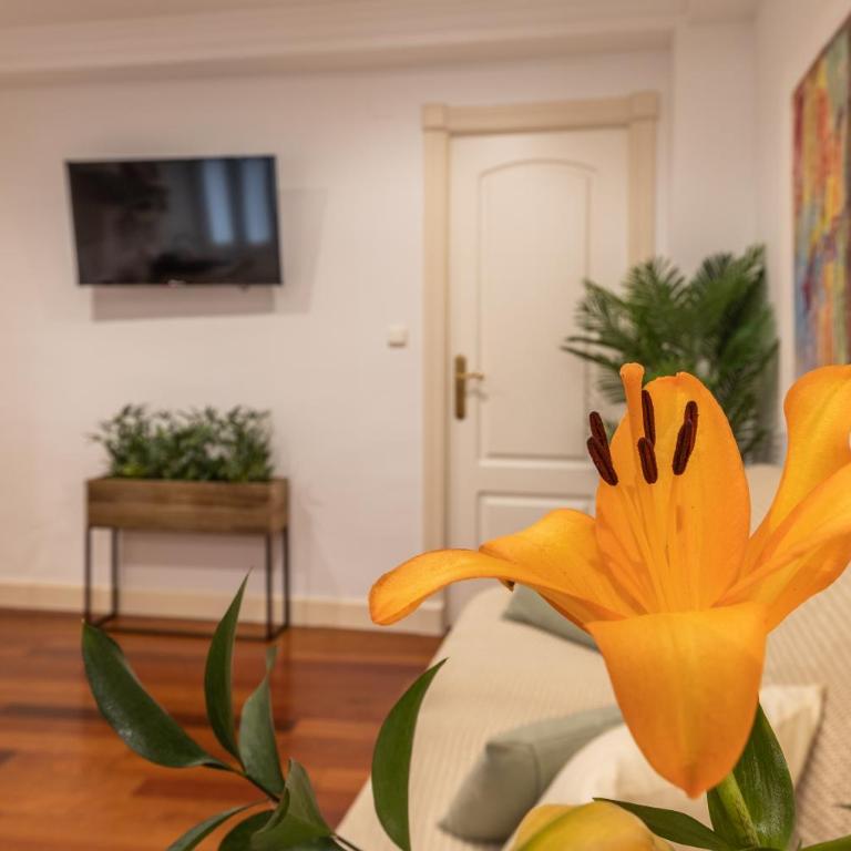 El Almirez - Two-Bedroom Apartment - 18