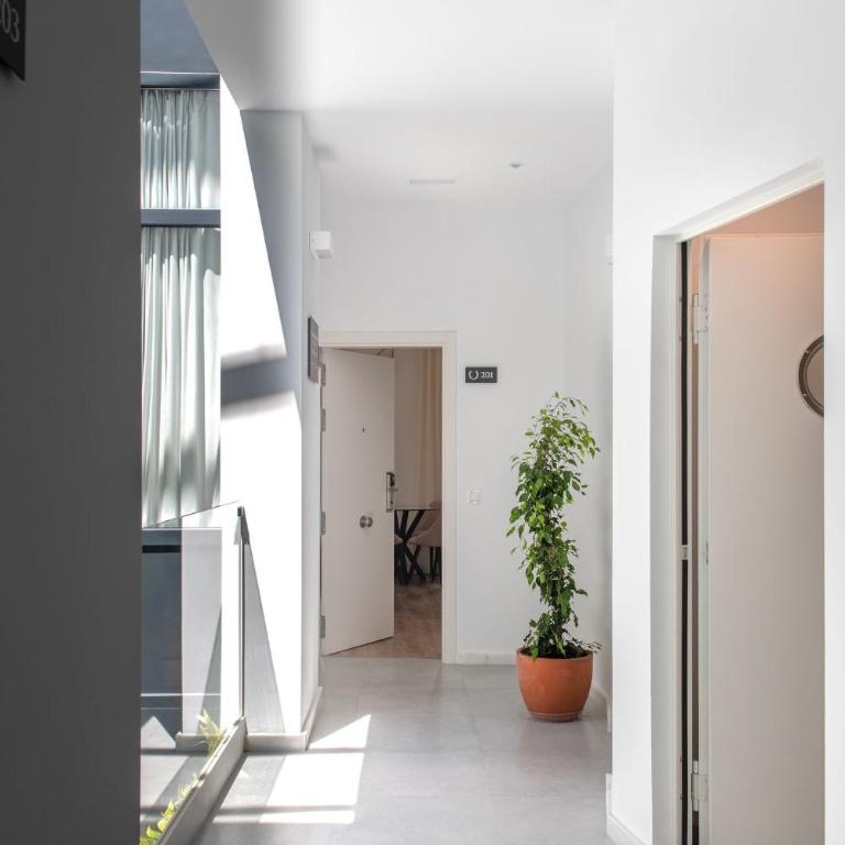Coliseum Boutique Apartments - Studio with Terrace - 9