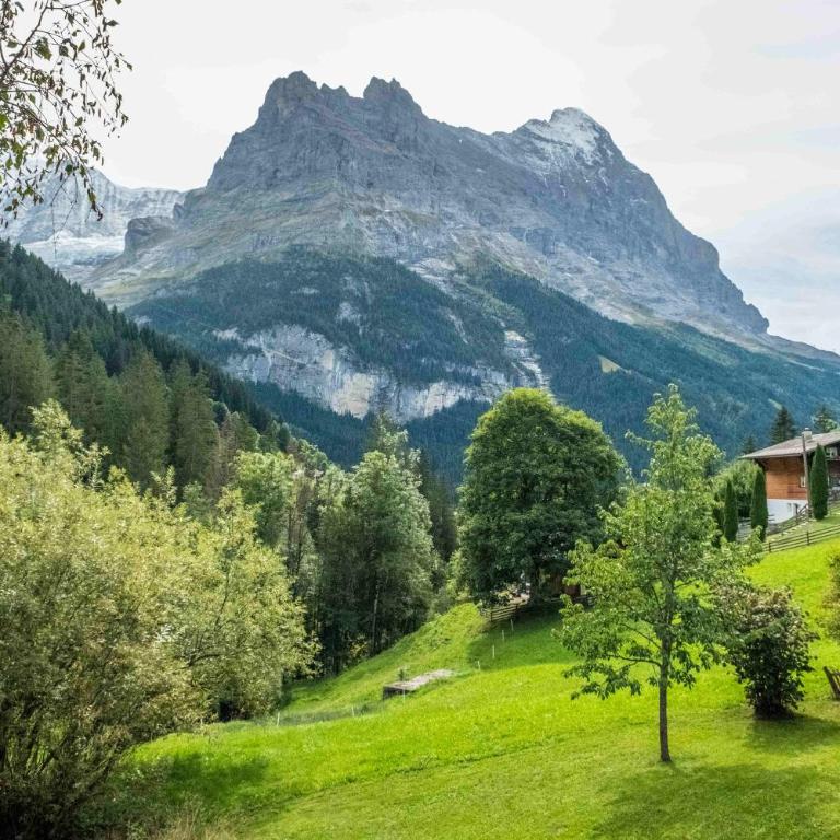 Apartment Mühlegaden 5.5 - GRIWA RENT AG - Appartamento - 18