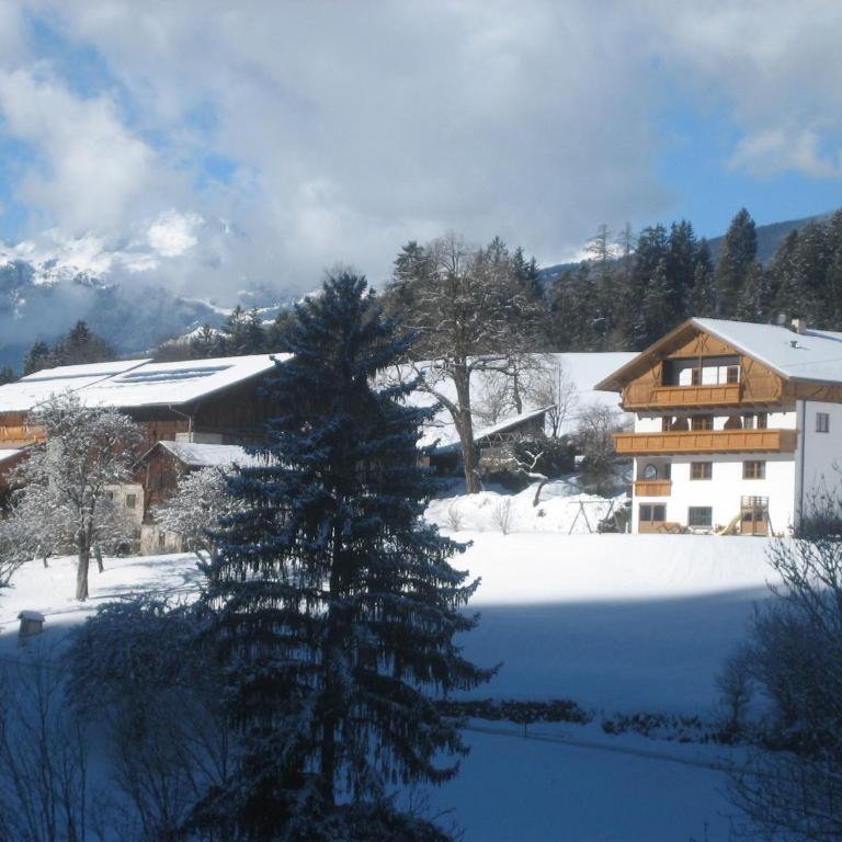 Apartments Dolomites "Mantingerhof" - Appartement 1 Chambre - 1