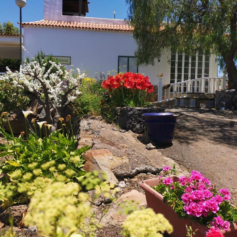 CASA rural DOLORES en Adeje - Casa - 90