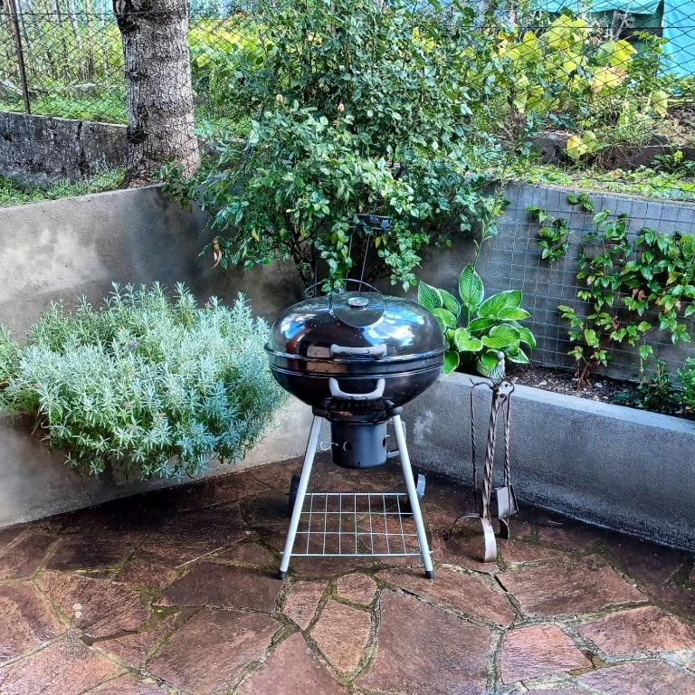 Villa Noce 2 - apartment with garden - Apartment mit 3 Schlafzimmern - 54