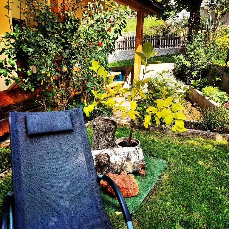 Villa Noce 2 - apartment with garden - Apartment mit 3 Schlafzimmern - 55