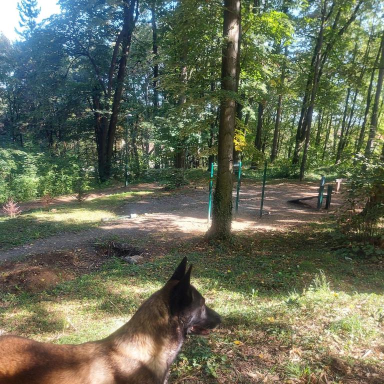 Apartman Đurđevak ,Banja Koviljača - Apartman sa 2 Spavaće Sobe - 29