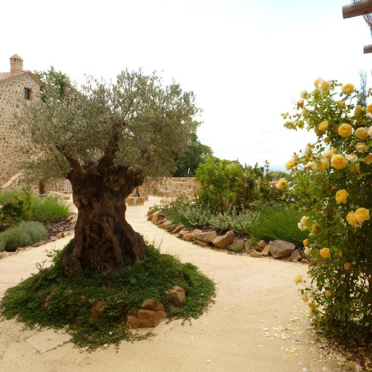 Castel Brunello - Suite mit 2 Schlafzimmern und Terrasse - 1