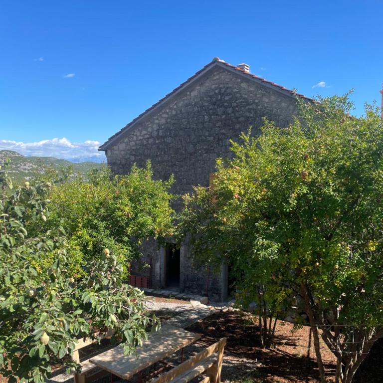 Queen’s vintage house - Kuća sa 1 Spavaćom Sobom - 20