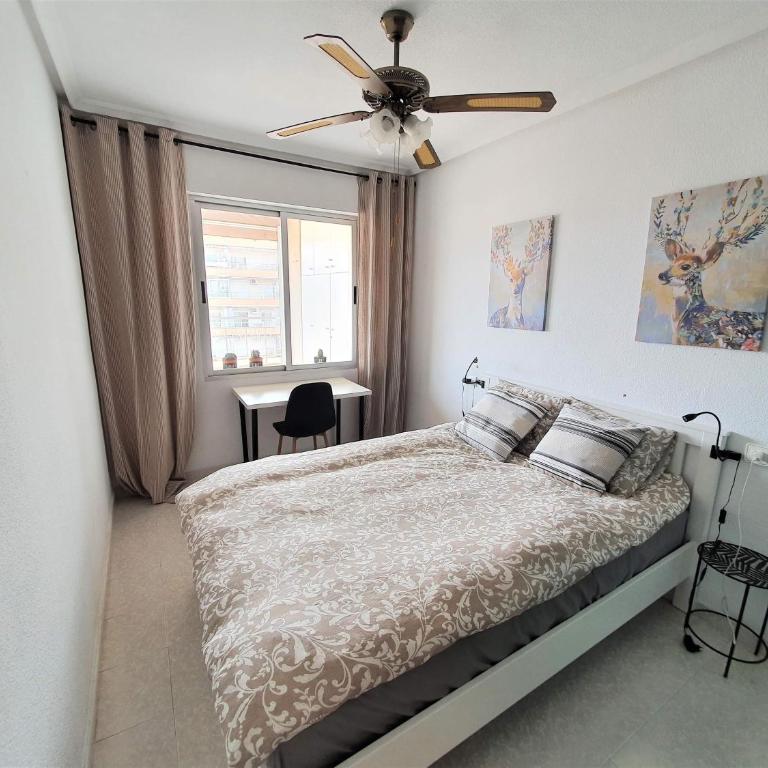Santa Pola Salamanca 10 apartamento, fibra óptica, lavavajillas, aire acondicionado, gran terraza, Grand Playa 450m - Apartamento de 1 dormitorio - 5