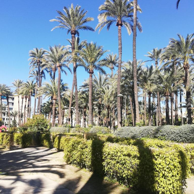 Santa Pola Salamanca 10 apartamento, fibra óptica, lavavajillas, aire acondicionado, gran terraza, Grand Playa 450m - Apartamento de 1 dormitorio - 23
