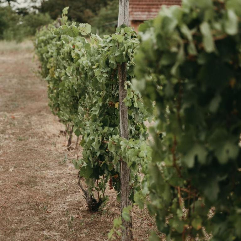 Terrazzo house - Two-Bedroom House - 20